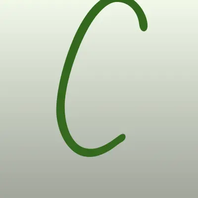 Цветы 24